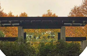 河南画室丨2016年中国美术学院素描高分卷