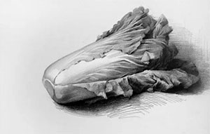 河南画室_素描静物苹果_素描水果的技巧