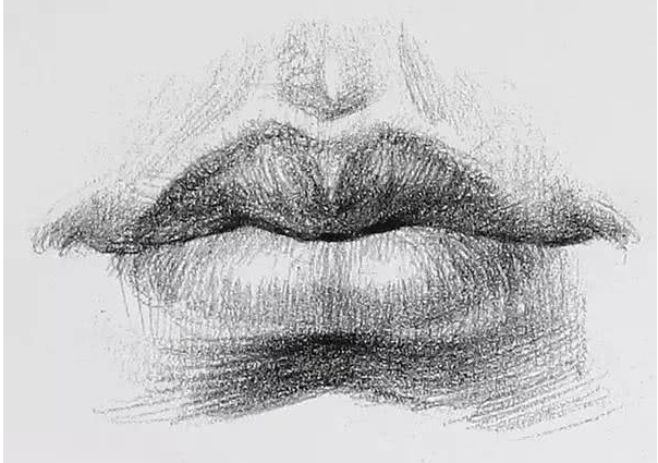 郑州美术培训画室:素描人物丨嘴巴、耳朵画法详解