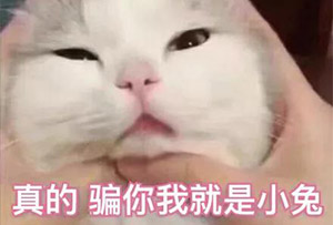 模考高分卷看多了甚至有点腻？那你看过低分卷吗？四个字：太、刺、激、了…