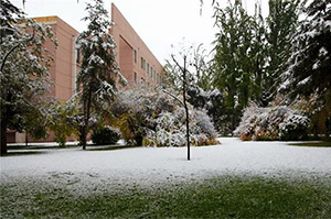 2020年青海民族大学艺术类本科专业招生简章