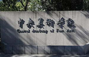 定了 | 1月2日-7日报名，中央美术学院2020年本科招生章程发布