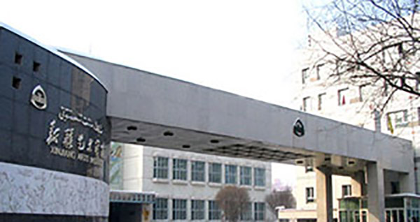 新疆艺术学院 2020 年普通本科、高职（专科）招生简章