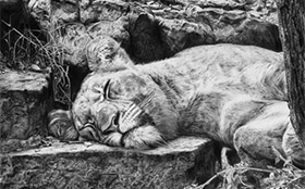 国外学生素描都画些什么？