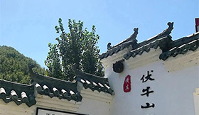 写生季 | 洛阳·伏牛山/手绘小镇成长之旅（一）出发