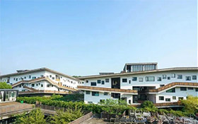 中国美术学院发布招生公告，艺术理论类专业不再组织校考！