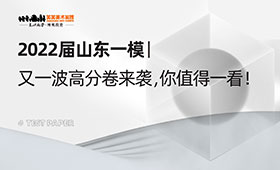 2022届山东美术联考一模高分卷