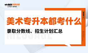 美术专升本都考什么？