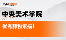 中央美术学院，优秀静物素描！