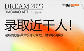 录取近千人！这所院校按美术统考分录取，附录取分数线~