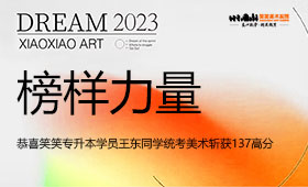 美术专升本成功上岸南阳理工学院，恭喜王东同学!