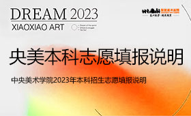 中央美术学院2023年本科招生志愿填报说明