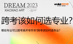 美术专升本可以报考哪些专业?跨考该如何选专业？