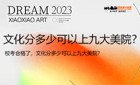 校考合格了，文化分多少可以上九大美院？