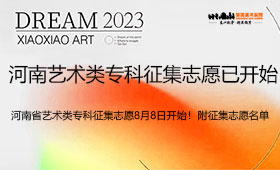 河南省艺术类专科征集志愿8月8日开始！附征集志愿名单