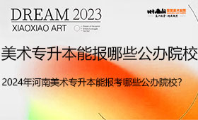 2024届河南美术专升本能报考哪些公办院校？