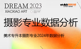 美术专升本摄影专业2024年数据分析