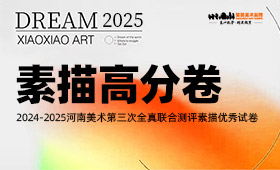 2025届河南省美术统考三模素描高分卷