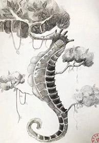 刘诗雨-中央美术学院