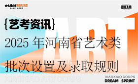 2025年河南省艺术类批次设置及录取规则