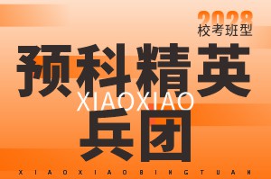 河南美术高考集训-笑笑美术兵团预科精英兵团