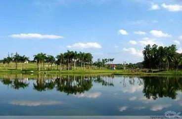 1524105595808262.jpg 116.jpg