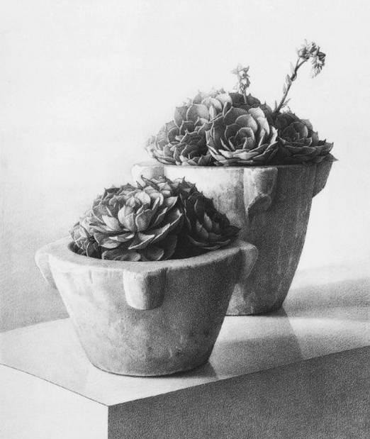 1533537982894529.jpg 图片6.jpg