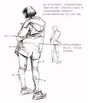 1539679916618985.jpg 2.jpg