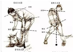 1539679943343453.jpg 8.jpg