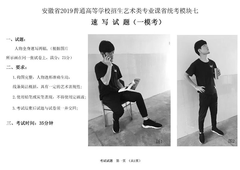 2019届安徽省模拟联考速写高分卷