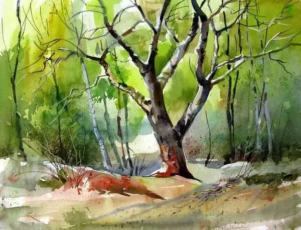 河南画室丨水彩画家普拉塔普作品 河南画室丨水彩画家普拉塔普作品