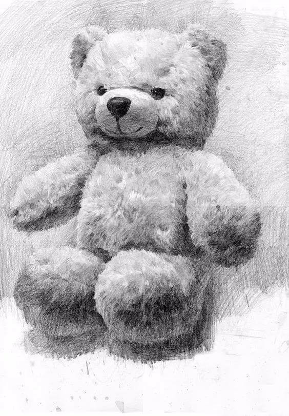 郑州画室素描毛绒玩具 郑州画室素描毛绒玩具