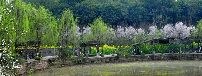 四川美术学院校园一角 四川美术学院校园一角