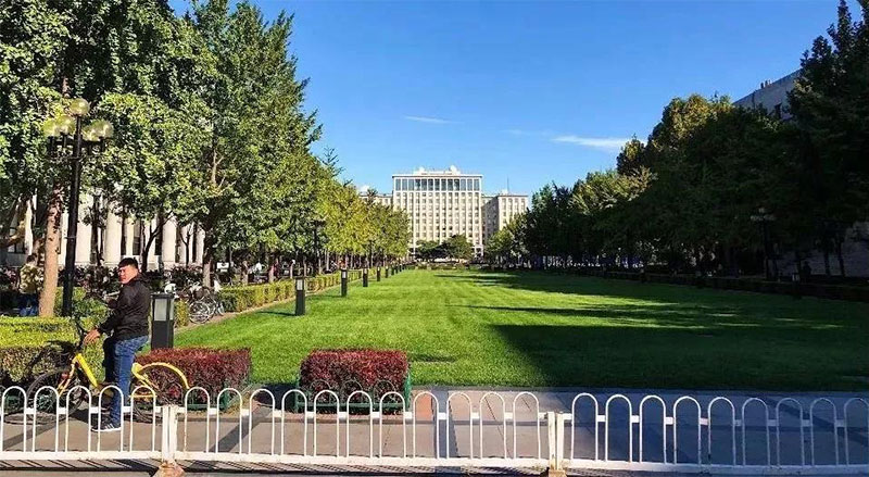 郑州笑笑画室清华美术学院2019年校考招生 郑州笑笑画室清华美术学院2019年校考招生