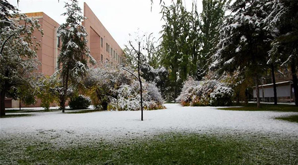 1575943721146700.jpg 1.jpg