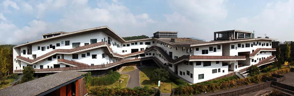 1605837076343964.jpg 1.jpg