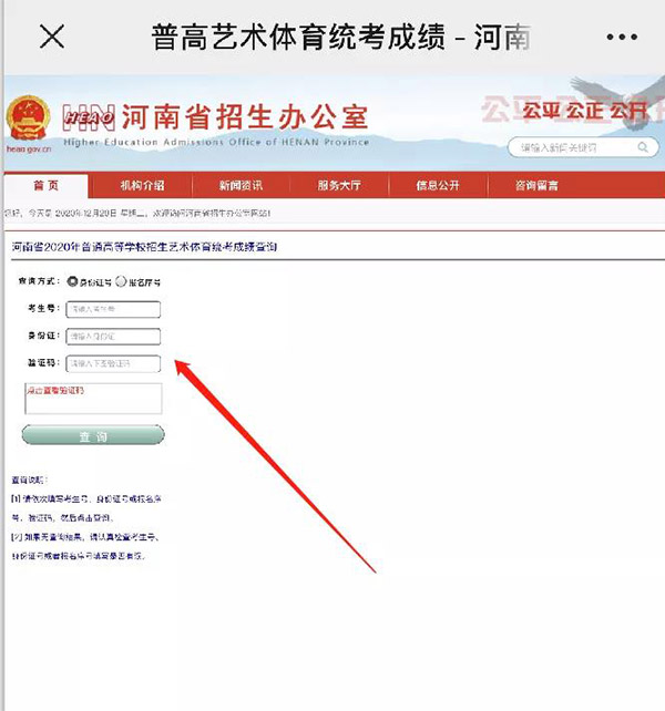 1609299000776985.jpg 4.jpg