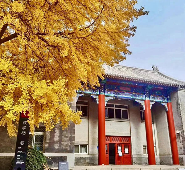 1610091974557223.jpg 2.jpg