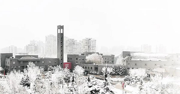 1610441752587358.jpg 5.jpg