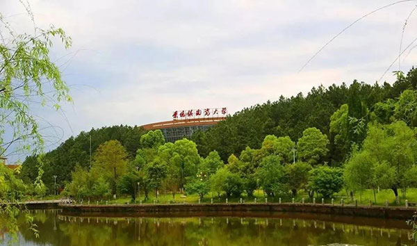 1611024708198623.jpg 4.jpg