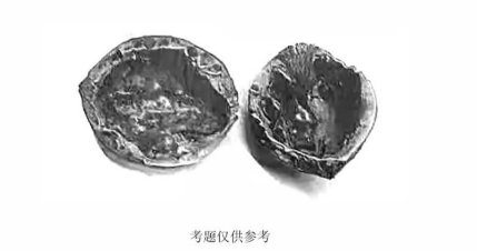 1629279962355044.png 4.png