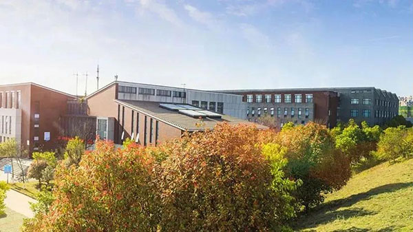 1634694432987935.jpg 4.jpg