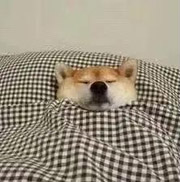 1643011937714470.jpg 2.jpg