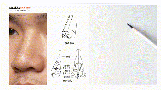 12.gif