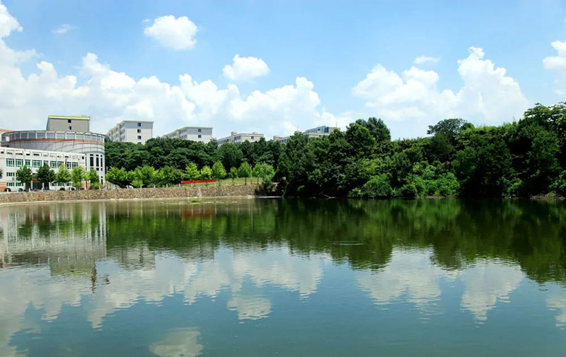 1650078005997843.jpg 15.jpg