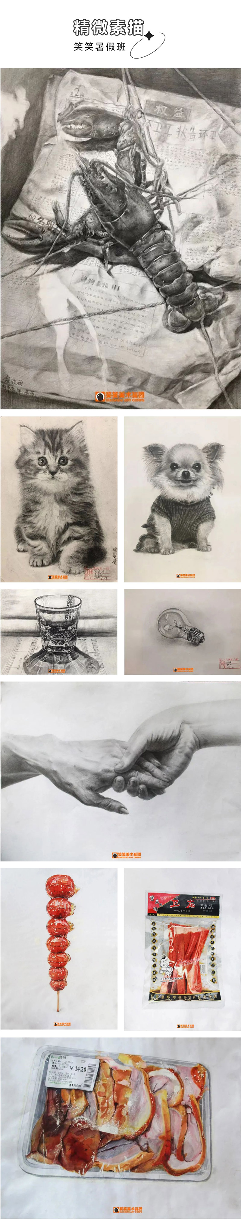 郑州画室笑笑美术兵团暑假班精微素描作品