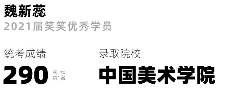 魏新蕊-中国美术学院录取-学习心得 魏新蕊-中国美术学院录取-学习心得