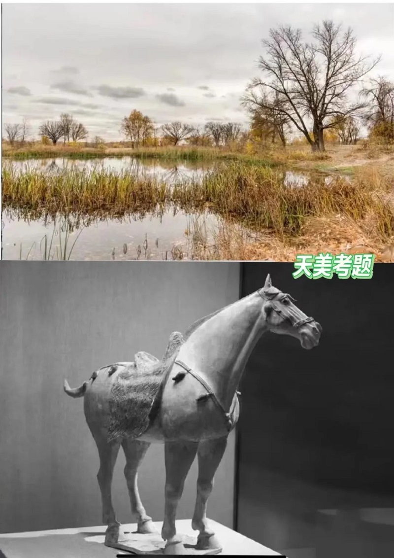 设计类考题 设计类考题