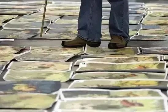 艺考分档 艺考分档