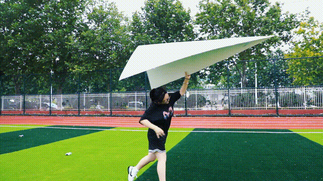 1686101166660293.gif 5.gif